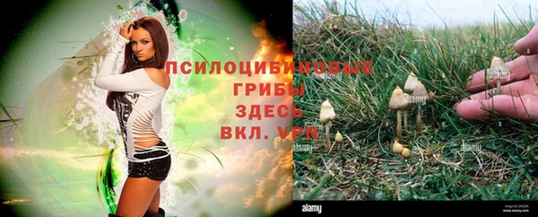 мдпв Баксан
